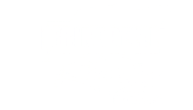 Frikadelli Racing Team